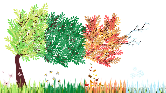  Der Jahreskreis in der Kita Bildidee 