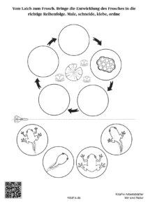 KitaFix-Arbeitsblaetter_Wir_sind_Natur_kostenlos_Seite_10