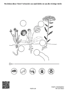KitaFix-Arbeitsblaetter_Wir_sind_Natur_kostenlos_Seite_25