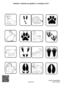 KitaFix-Arbeitsblaetter_Wir_sind_Natur_kostenlos_Seite_26