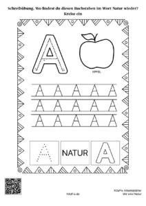 KitaFix-Arbeitsblaetter_Wir_sind_Natur_kostenlos_Seite_47
